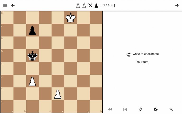 Screenshot 9: Chess Endgame Training