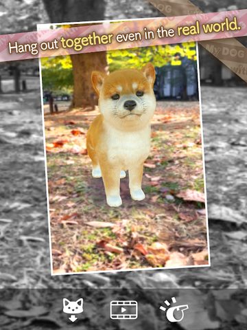Screenshot 16: with My DOG