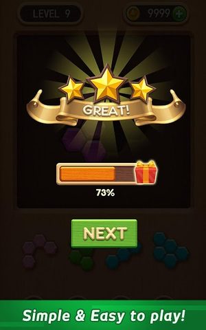 Screenshot 9: Wood Block Puzzle - Hexa