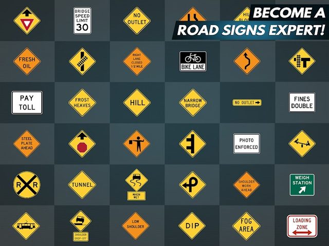 Captura 15: Simulador de conducción realista