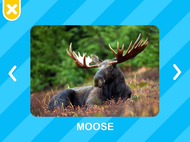 Screenshot 23: Flashcards Toddler Games for 2 and 3 Year Olds