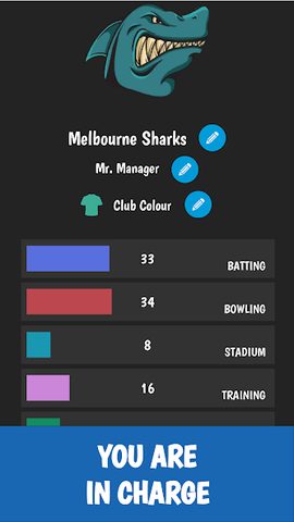 Captura 18: Cricket Manager - Superliga