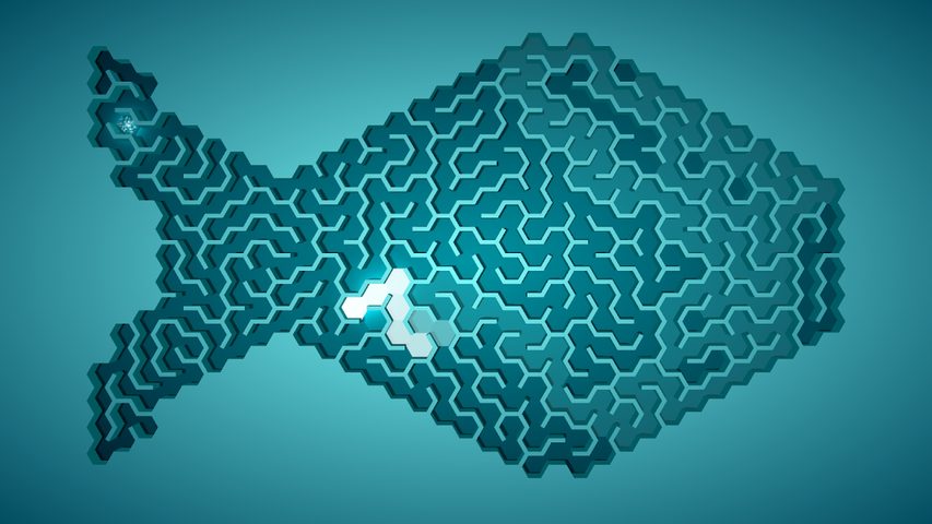 Screenshot 17: Maze: Endless and Simple