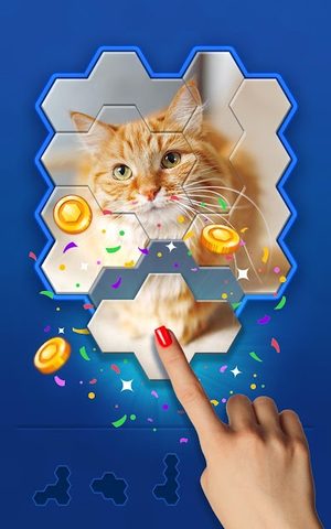 Screenshot 3: Hexa Jigsaw Challenge