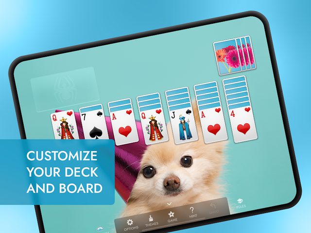 Screenshot 20: Spider Solitaire