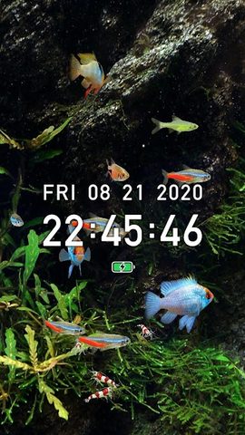 Screenshot 2: Tropical Fish Tank - Mini Aqua