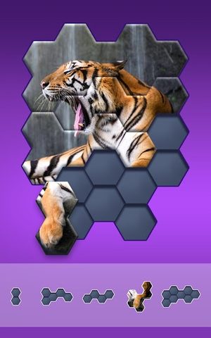 Screenshot 6: Hexa Jigsaw Puzzle ®