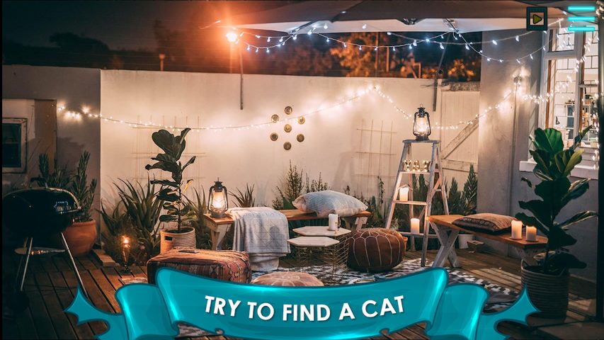 Screenshot 4: Find a Cat 2: Hidden Object