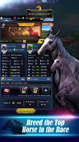 Screenshot 19: Stallion Race