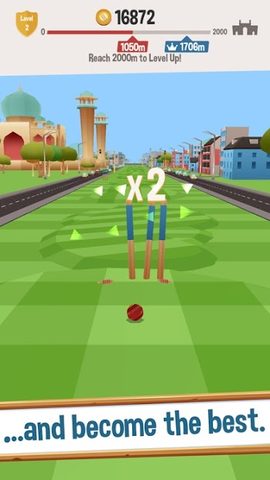 Captura 4: ¡Cricket Alocado - ¡Golpe Perfecto!