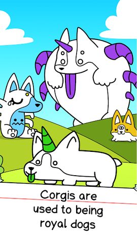 Screenshot 13: Corgi Evolution: Shiba Dogs