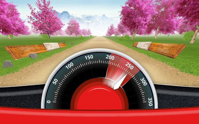 Screenshot 17: CRAZY DRIVER