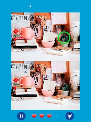 Screenshot 10: Find the differences 2021