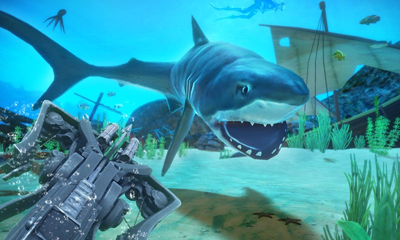 Captura 19: Caza Salvaje 2021