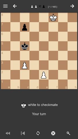 Screenshot 6: Chess Endgame Training