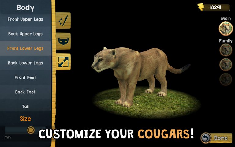 Screenshot 5: Wild Cougar Sim 3D