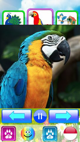 Screenshot 8: Animal sounds. Learn animals names for kids