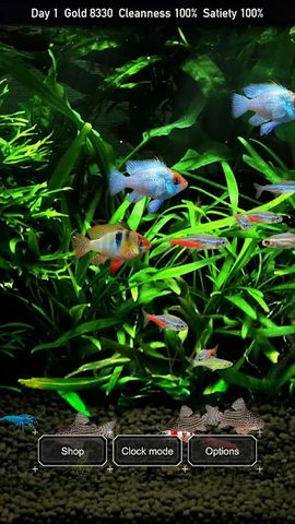 Screenshot 5: Tropical Fish Tank - Mini Aqua