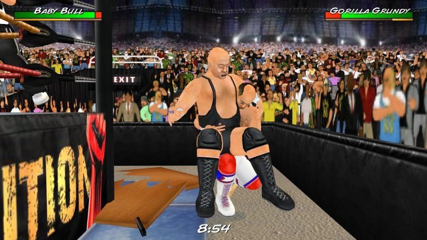 Captura 8: Universo de la Lucha Libre