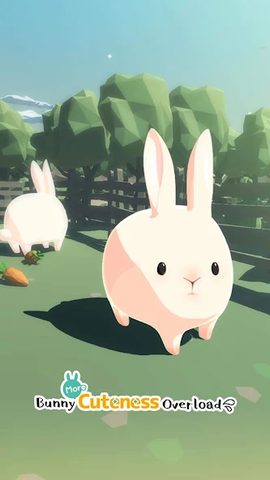 Captura 23: Bunny More Cuteness Overload