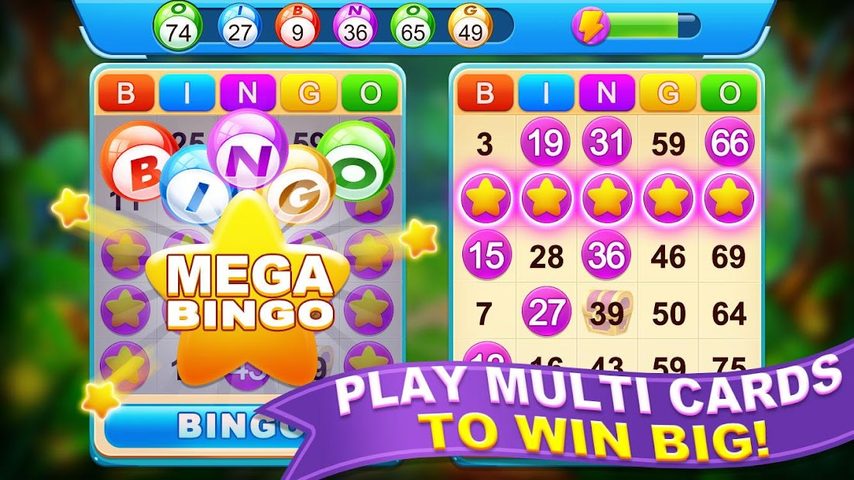 Captura 13: Liga de Bingo