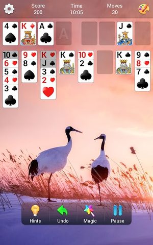 Screenshot 13: FreeCell Solitaire