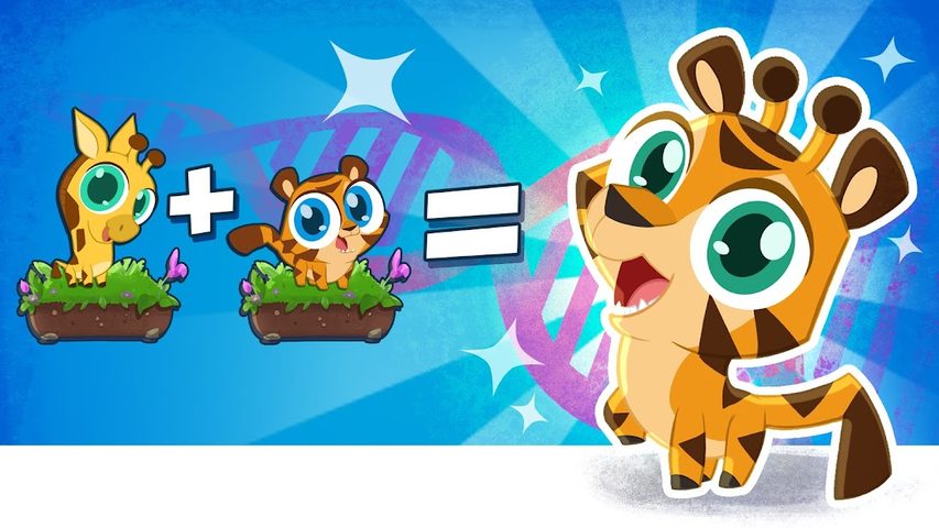 Screenshot 10: Merge Zoo