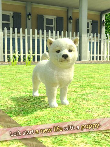 Screenshot 9: with My DOG