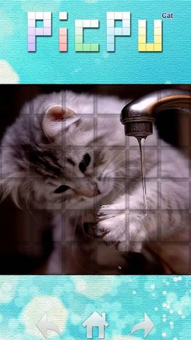 Screenshot 10: PicPu - Cat Picture Puzzle