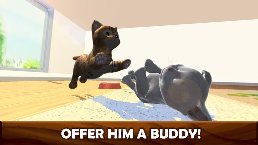 Screenshot 6: Daily Kitten : virtual cat pet
