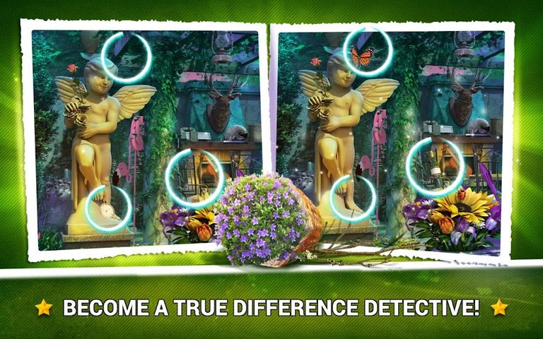Captura 11: Encuentra las diferencias en las imágenes del jardín