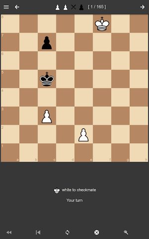 Screenshot 24: Chess Endgame Training