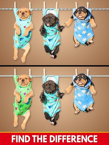 Screenshot 17: Find The Differences - Spot it