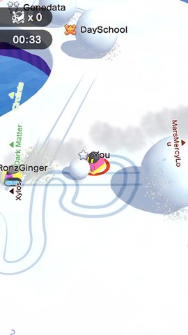 Screenshot 12: Snowball.io