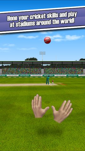 Скриншот 4: New Star Cricket