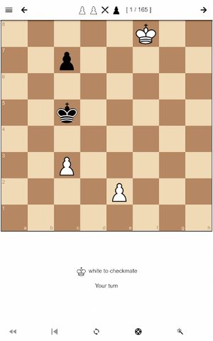 Screenshot 23: Chess Endgame Training