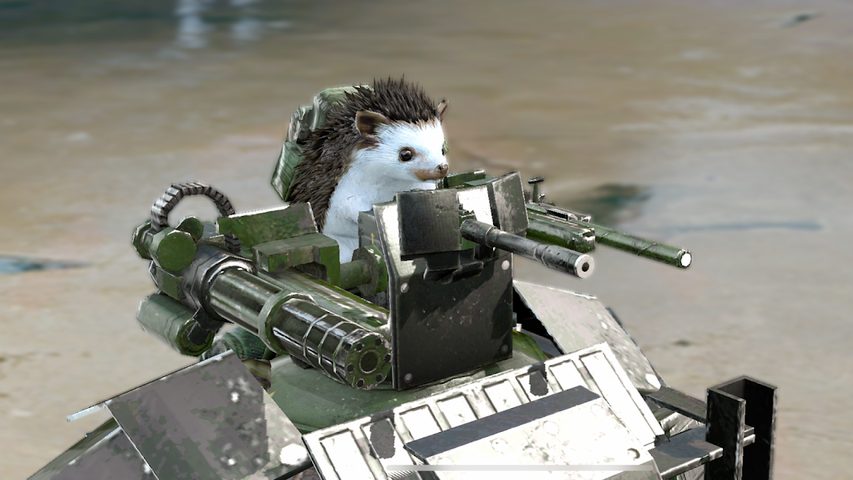 Captura 4: Tortuga de Guerra 2