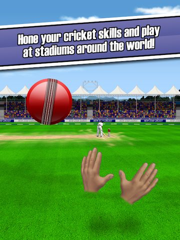 Скриншот 16: New Star Cricket