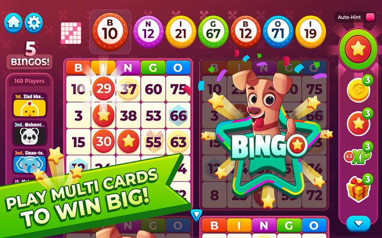 Captura 17: Únete a la gran fiesta de bingo