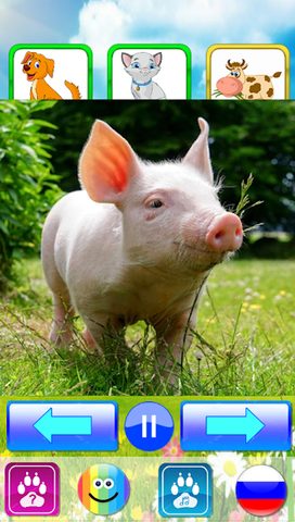 Screenshot 18: Animal sounds. Learn animals names for kids