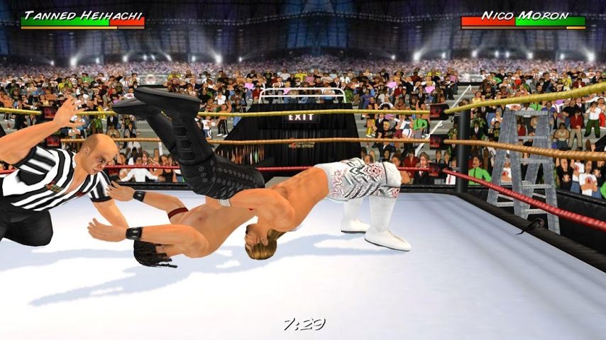 Captura 10: Universo de la Lucha Libre