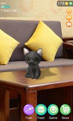 Screenshot 8: AR Cat