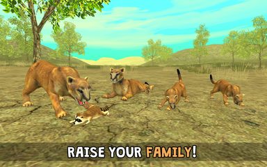 Screenshot 17: Wild Cougar Sim 3D