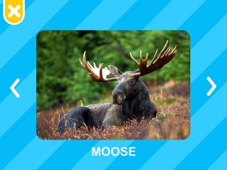 Screenshot 23: Flashcards Toddler Games for 2 and 3 Year Olds