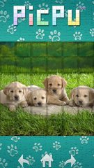 Captura 5: Rompecabezas de Imágenes de Perros