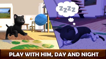 Screenshot 11: Daily Kitten : virtual cat pet