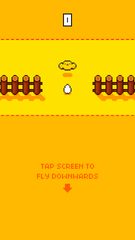 Screenshot 10: Chicken Crash