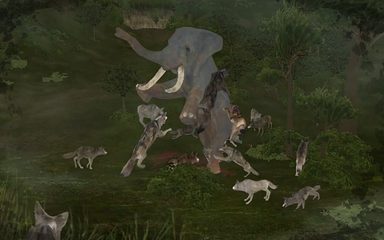 Screenshot 8: Wild Animals Online(WAO)
