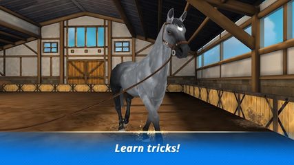 Screenshot 12: Horse Hotel - care for horses