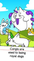 Screenshot 13: Corgi Evolution: Shiba Dogs